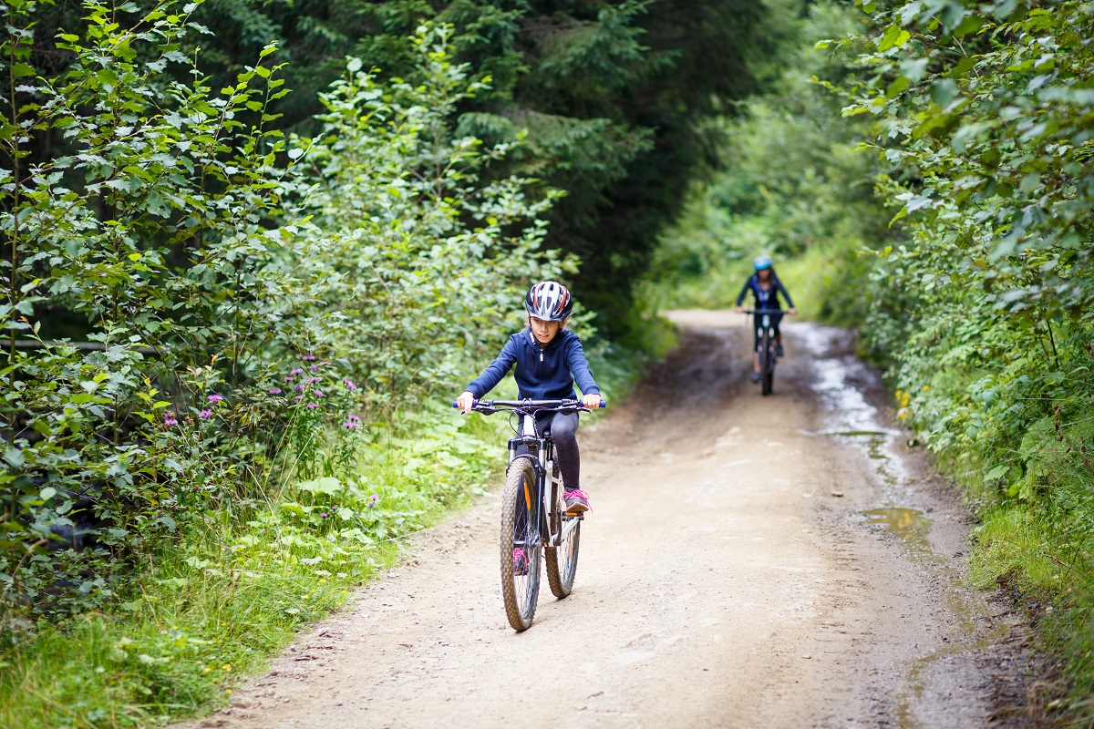 VTT