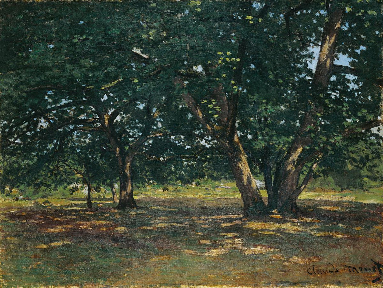 La forêt de Fontainebleau peinte par Claude Monet entre 1863 et 1865