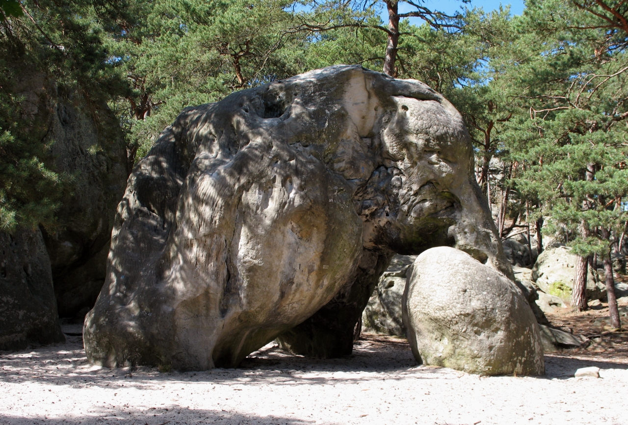 Der Elefantenfelsen bei Larchant